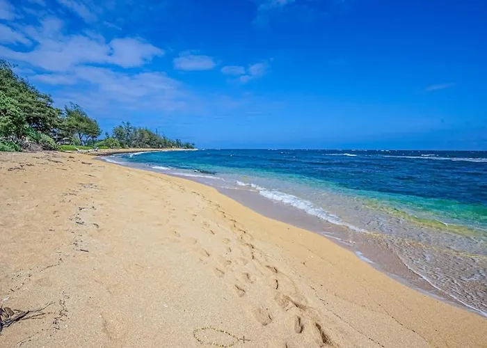 Islander On The Beach 353