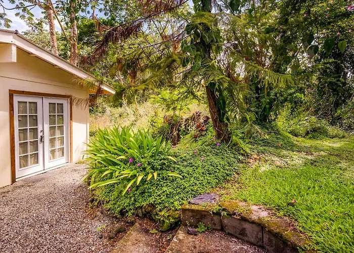 Puni Mauka B 31 Plus Day Rental
