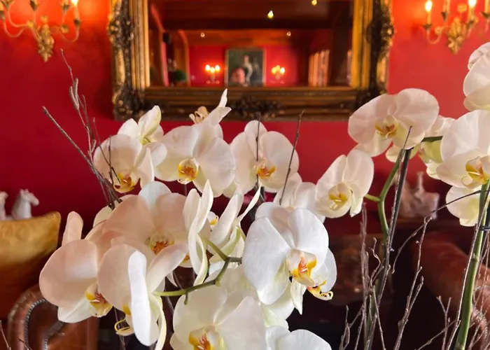 Rigat Park & Spa Hotel - Adults Recommended