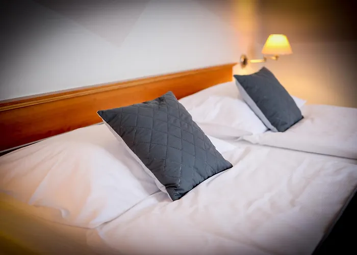 LH Hotel Dvořák Tábor Congress&Wellness