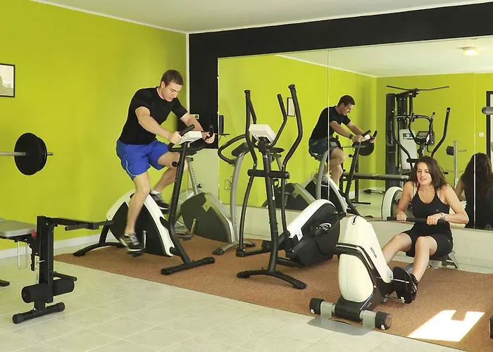 Ibis Orange Sud