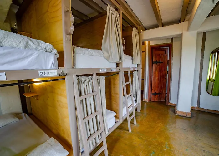 Coffee Tree Boutique Hostel