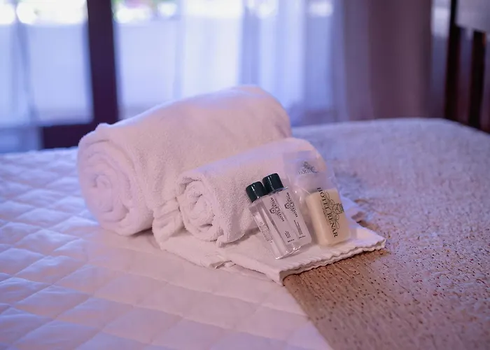 Hotel Renar