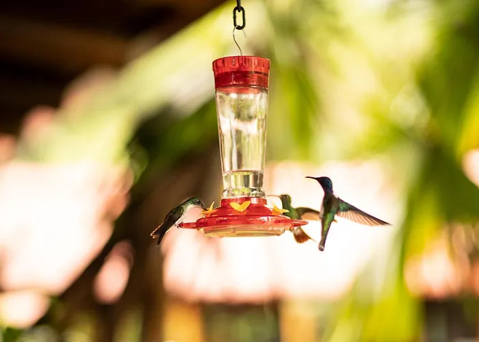 La Bicok Ecolodge