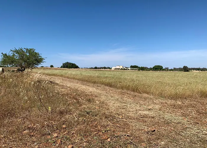 Masseria Castelluzzo