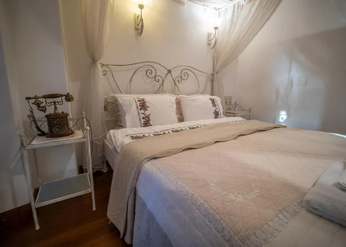 Hotel Des Etrangers - Special Category