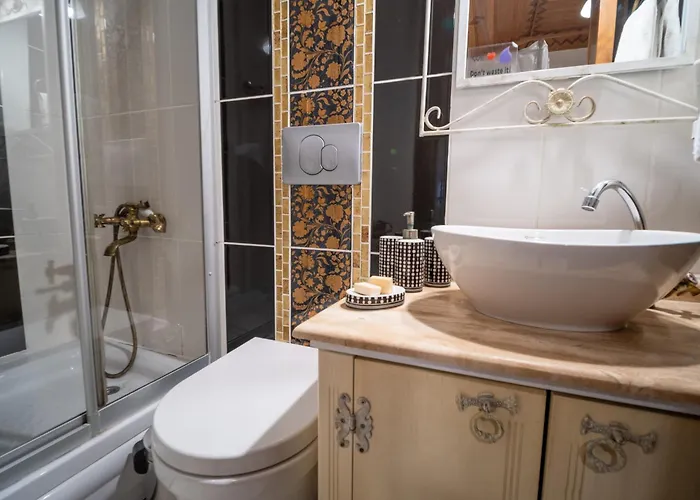 Hotel Des Etrangers - Special Category
