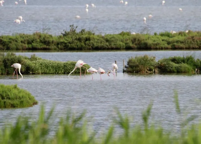 Gran Delta River & Nature Hotel