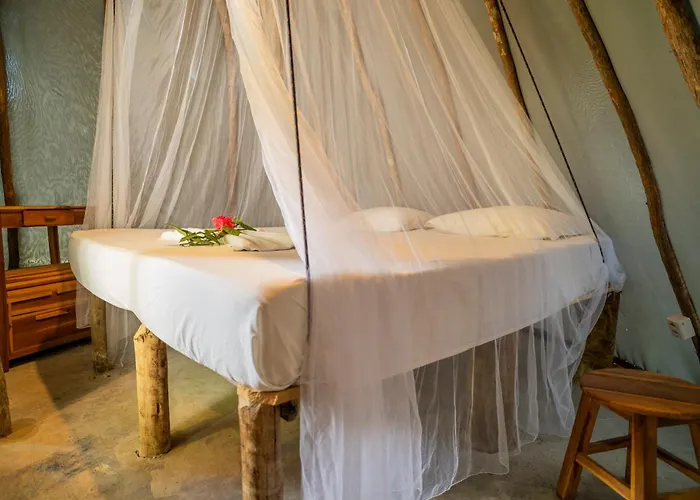 Treehouse Kitecamp Jericoacoara
