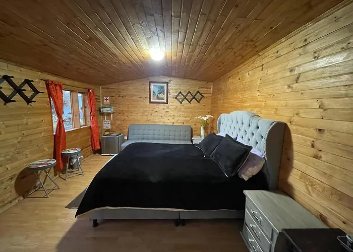 El Alpino Cabaña Glamping&Camping