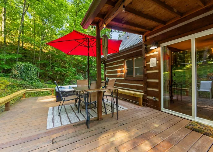 The Mountain Forager Cabin, Bryson City Nc