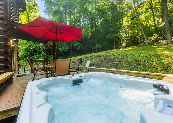 The Mountain Forager Cabin, Bryson City Nc