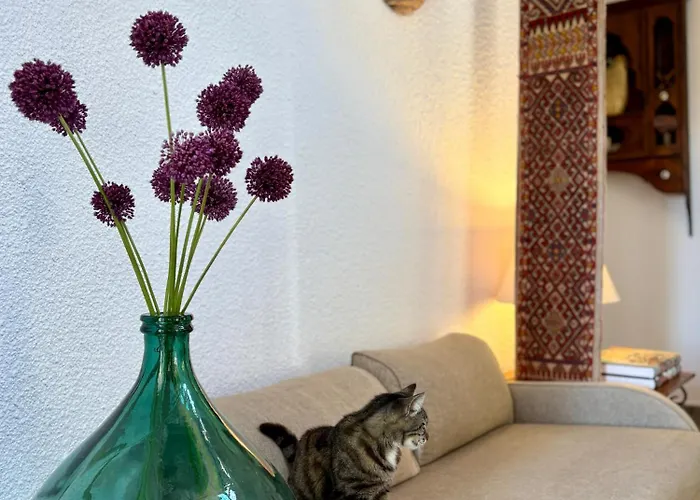 Hotel Villa Tokur