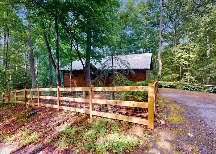 Bear Necessity Cabin