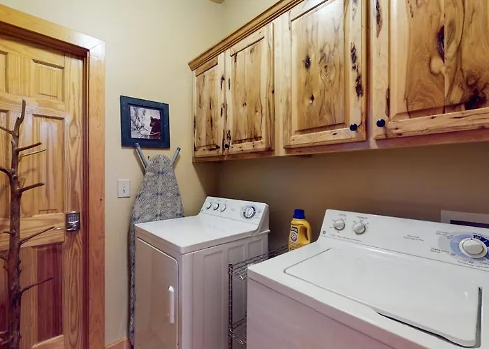 Bear Necessity Cabin