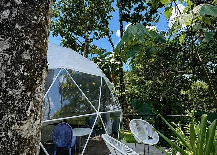Palo Alto Glamping Hotel