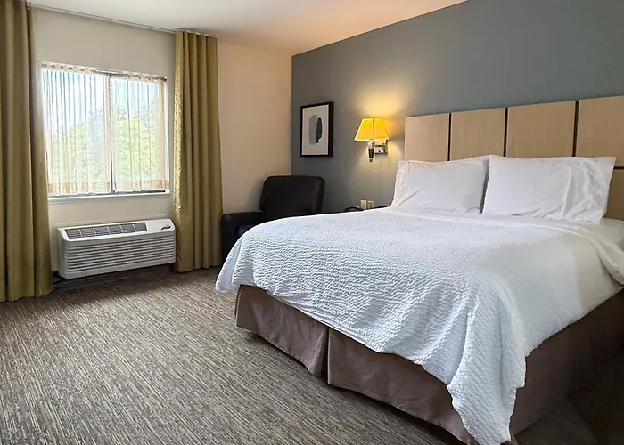 Candlewood Suites East Lansing By Ihg