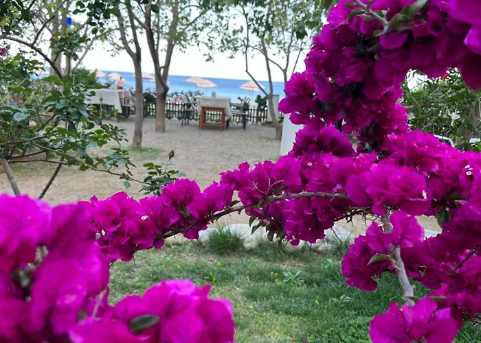 Hotel Yavuz Bungalow