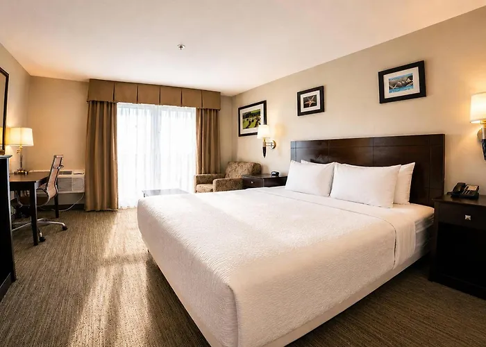 The Volare, An Ascend Collection Hotel