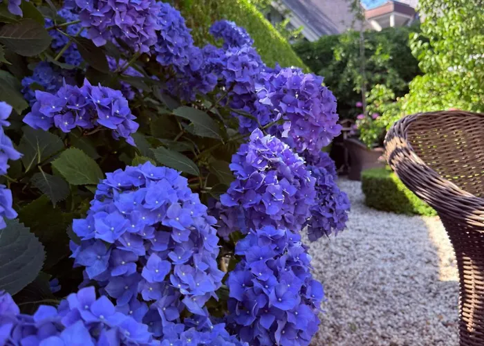 De Roos Leeuwarden Bloementuin & Biodynamisch Ontbijt