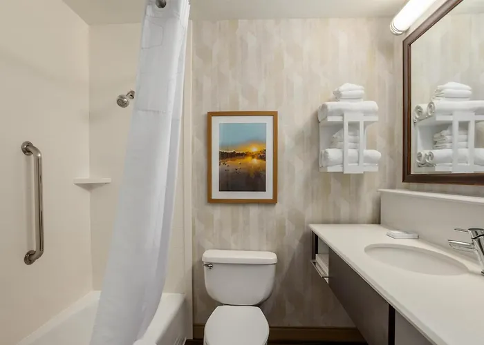 Hampton Inn Springfield-South