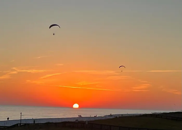 La Seaesta