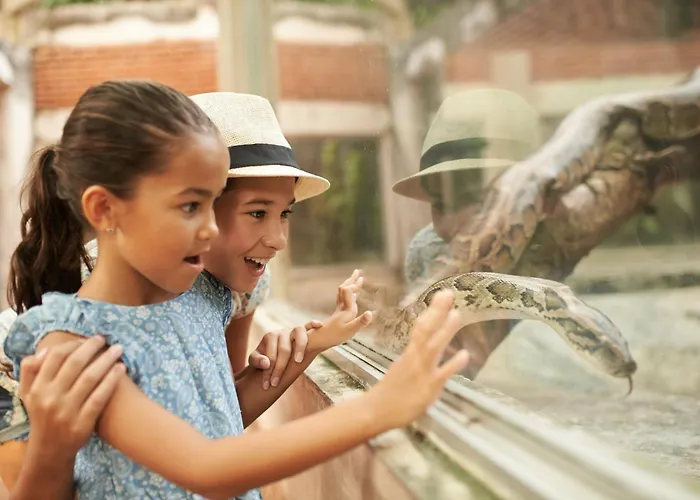 Holiday Inn Express Chattanooga - Hamilton Place By Ihg