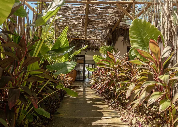 Zebra Boutique Hotel