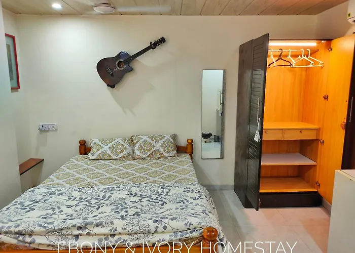 Ebony Room - Ac, Kitchenette, Ensuite, Independent Homestay
