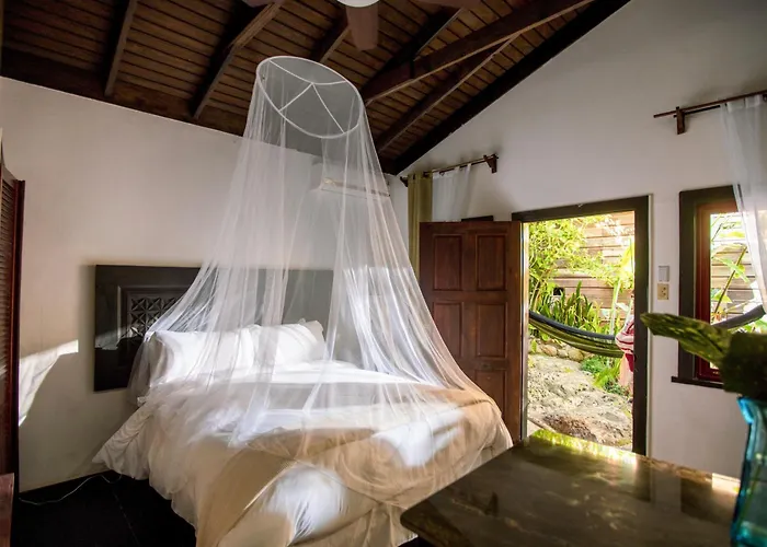 Serendipity Holistic Resort Spa