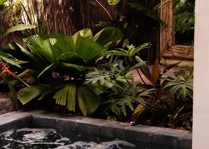 Flor de Biriba Trancoso