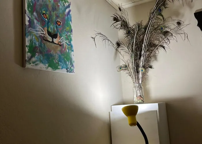 La Casa De Mr