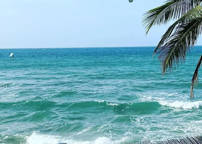 Cabarete Maravilla Ecolodge Encuentro Surf Beach Kite Perla Marina Btcg Crypto