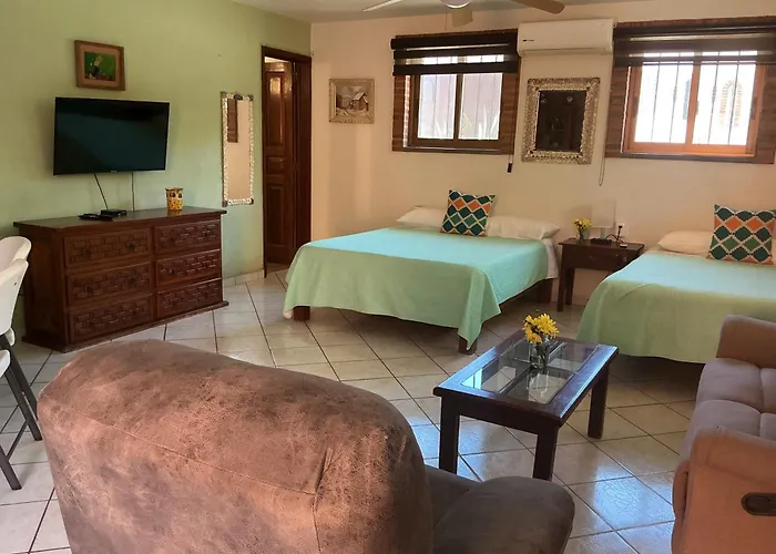 Brisa Suave Studio Suite