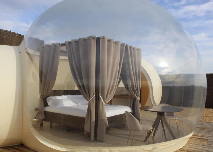 Wine Bubble