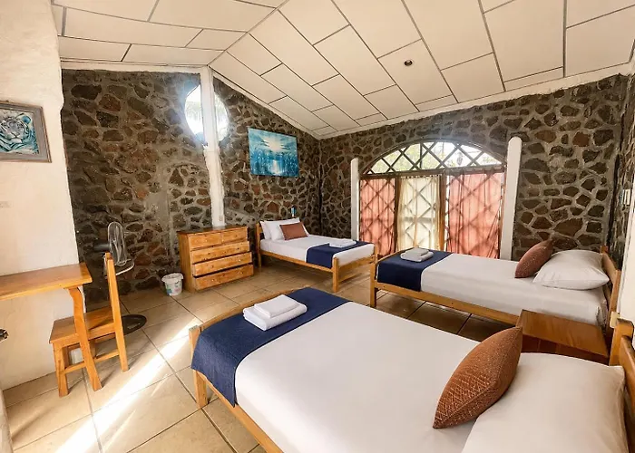 Penguin Hostel