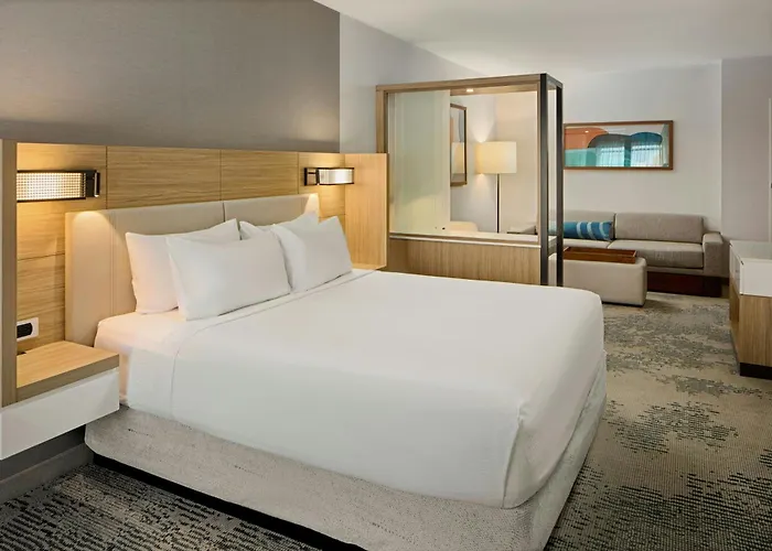 Springhill Suites By Marriott High Point Downtown