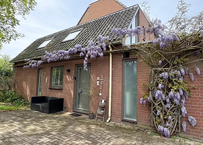 Vakantiehuis Neptunus voor het hele gezin eventueel met baby