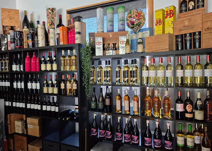 Les Logis Du Port Suites & Spa - Climatisation -Port Canal Montauban