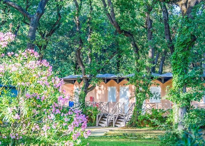 Hotel With Swimming Pool And Private Beach In San Vincenzo