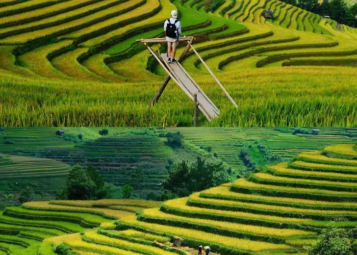 Mua Vang Homestay Mu Cang Chai