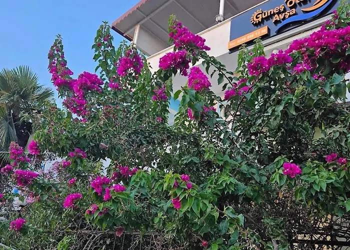 Avsa Guenes Otel