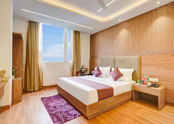 Sky Nest Plaza Inns Near Delhi International Airport