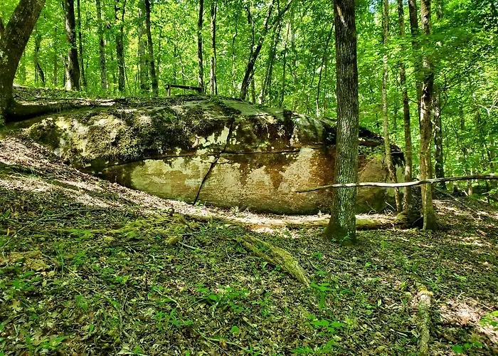 Secluded Woodland Geodome With Panoramic Views & Private Trails In Milledgeville, Georgia