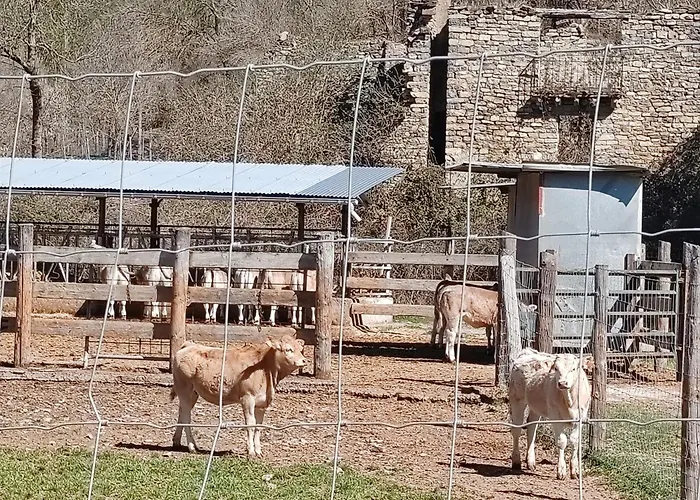 Hotel Acebo & Natura