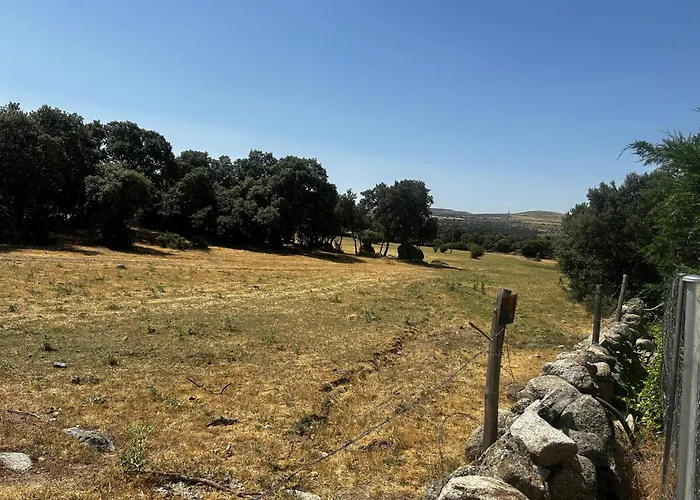 Casa Rural El Olivo