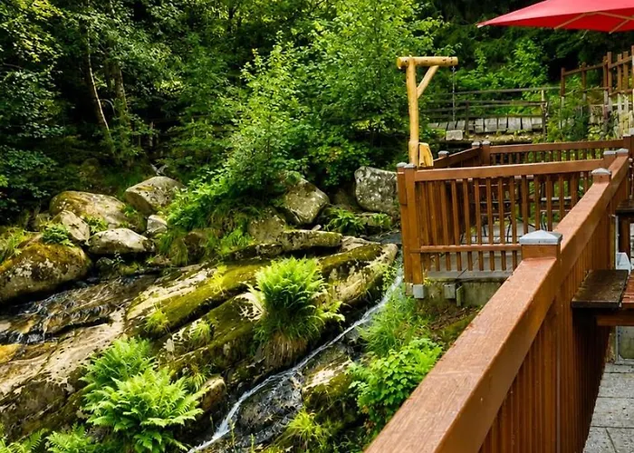 Waldgasthaus & Berghotel Steinerne Renne
