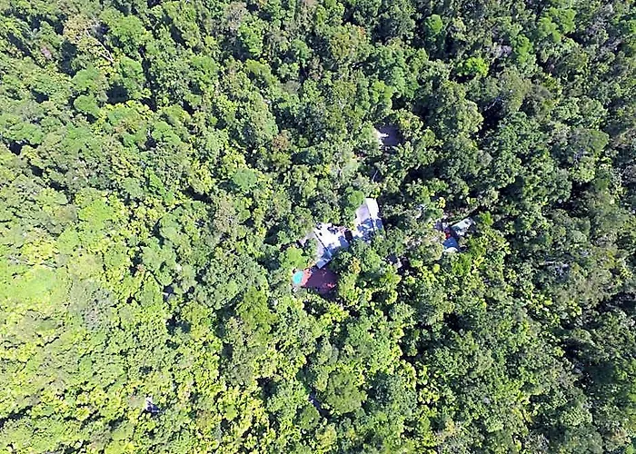 Daintree Wilderness Lodge