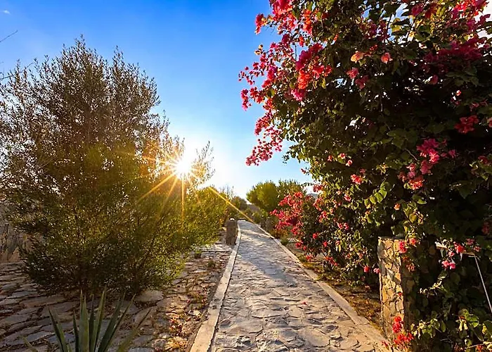 Jebel Shams Resort