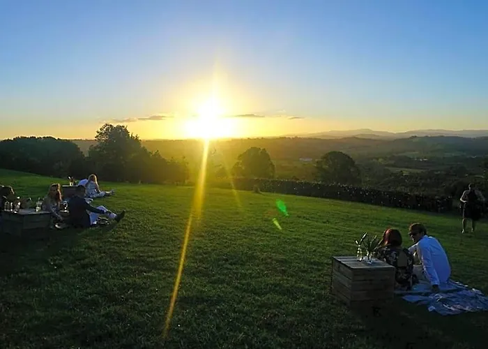 Cedia At Byron Bay Hinterland